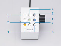 STM6_10.jpg